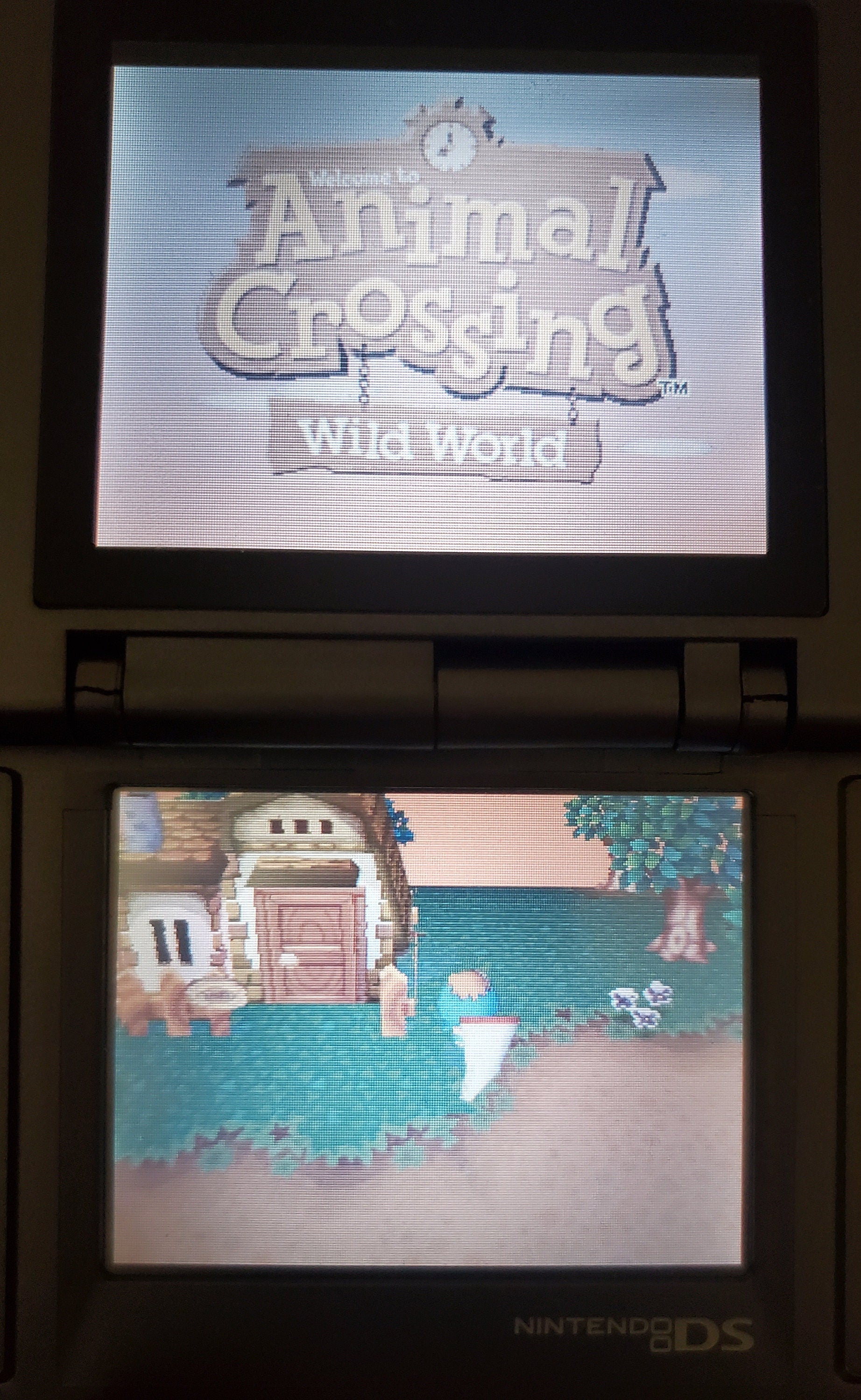 Animal Crossing Wild World NDS Video Game Cartridge Nintendo DS 2005