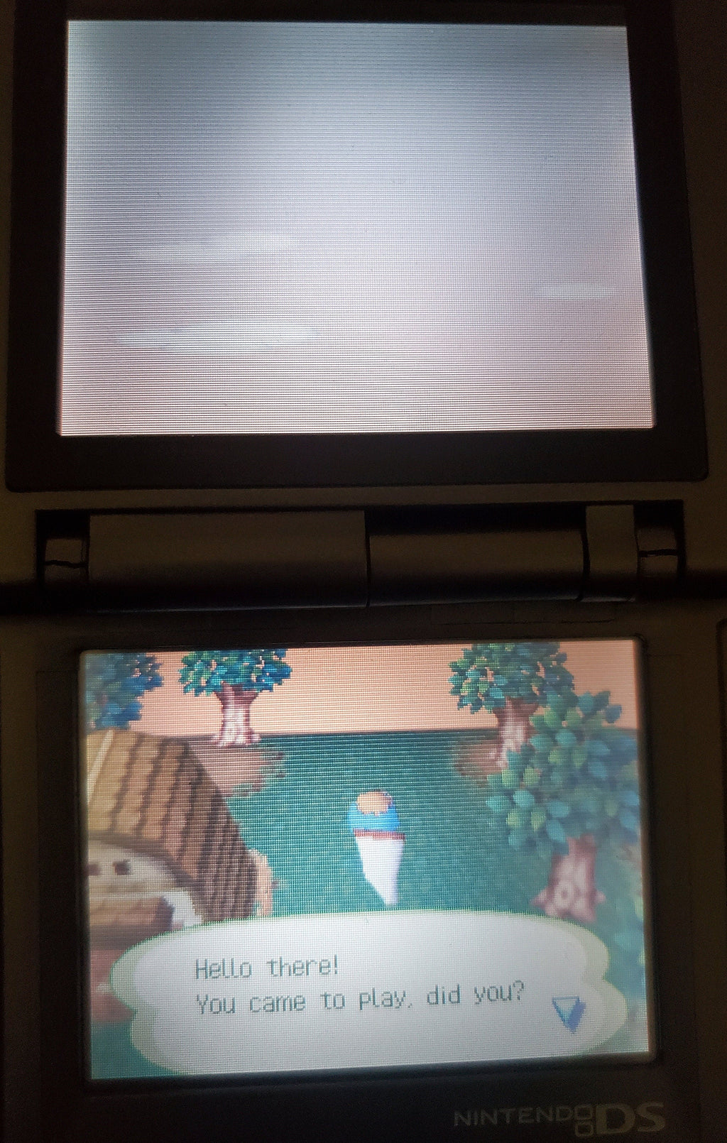 Animal Crossing Wild World NDS Video Game Cartridge Nintendo DS 2005