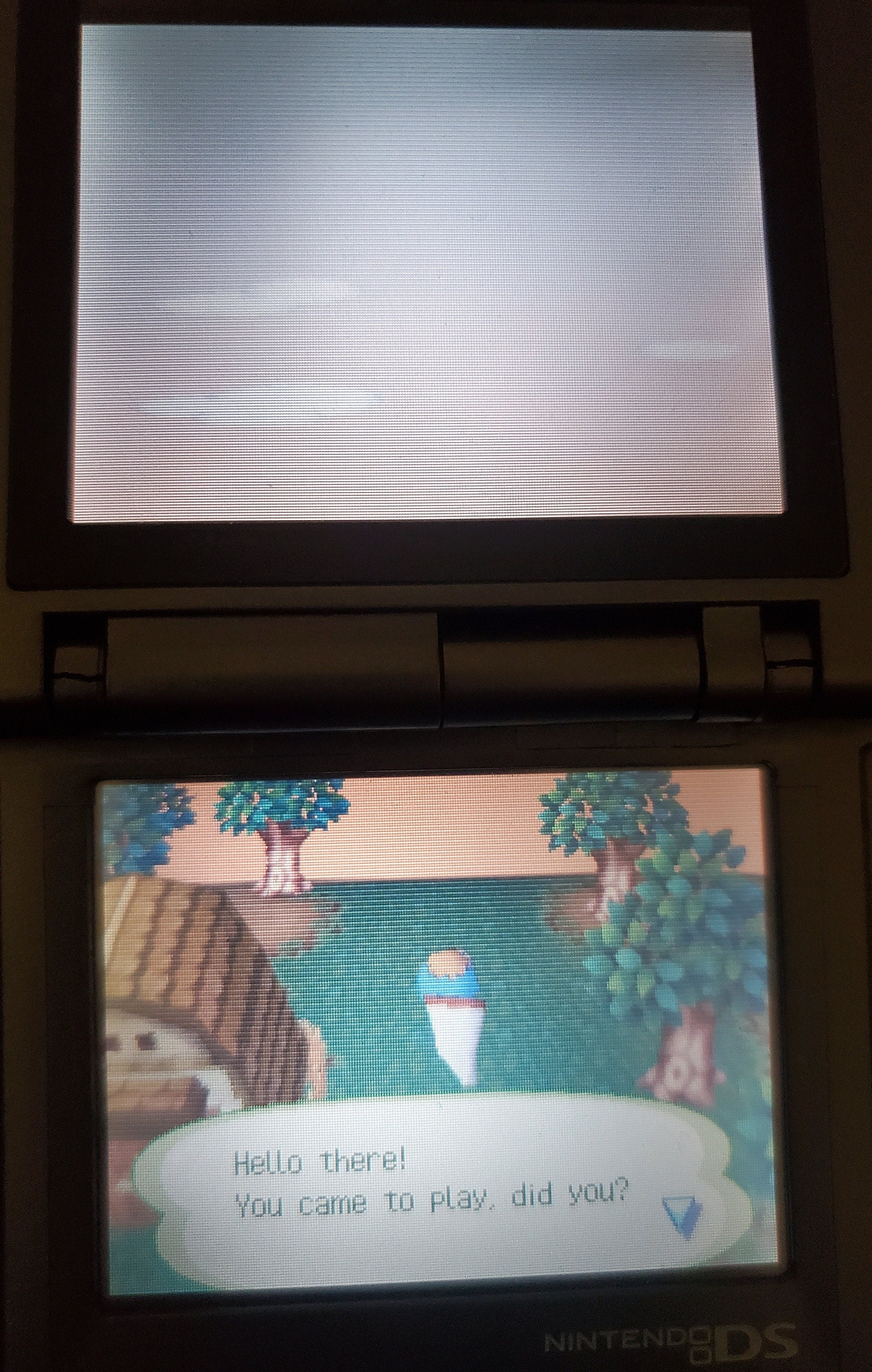 Animal Crossing Wild World NDS Video Game Cartridge Nintendo DS 2005