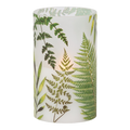 Frosted Illumaflame Fern LED Glass Candle - 6 Inch