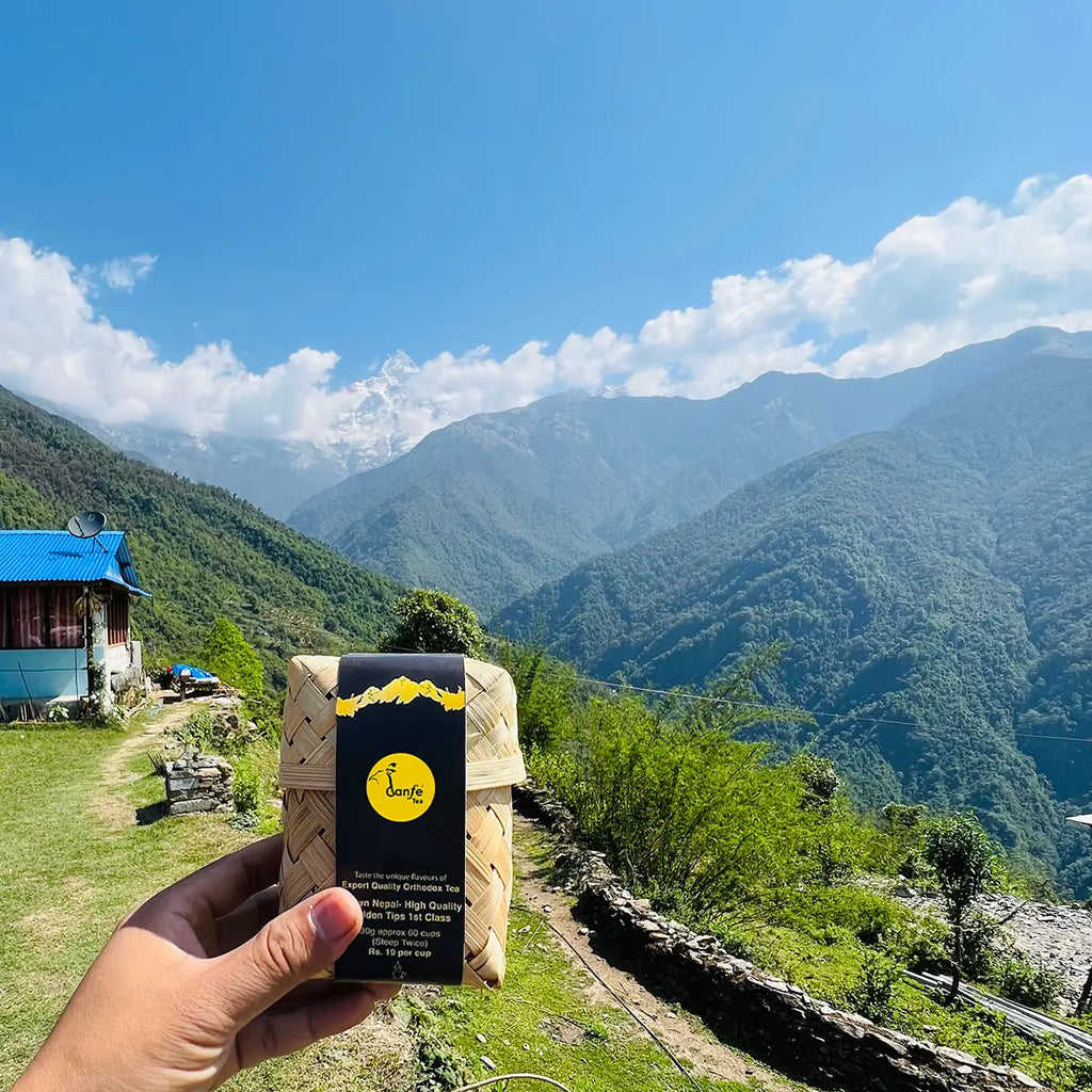69° Earl Grey Supreme – Himalayan High Altitude Black Tea
