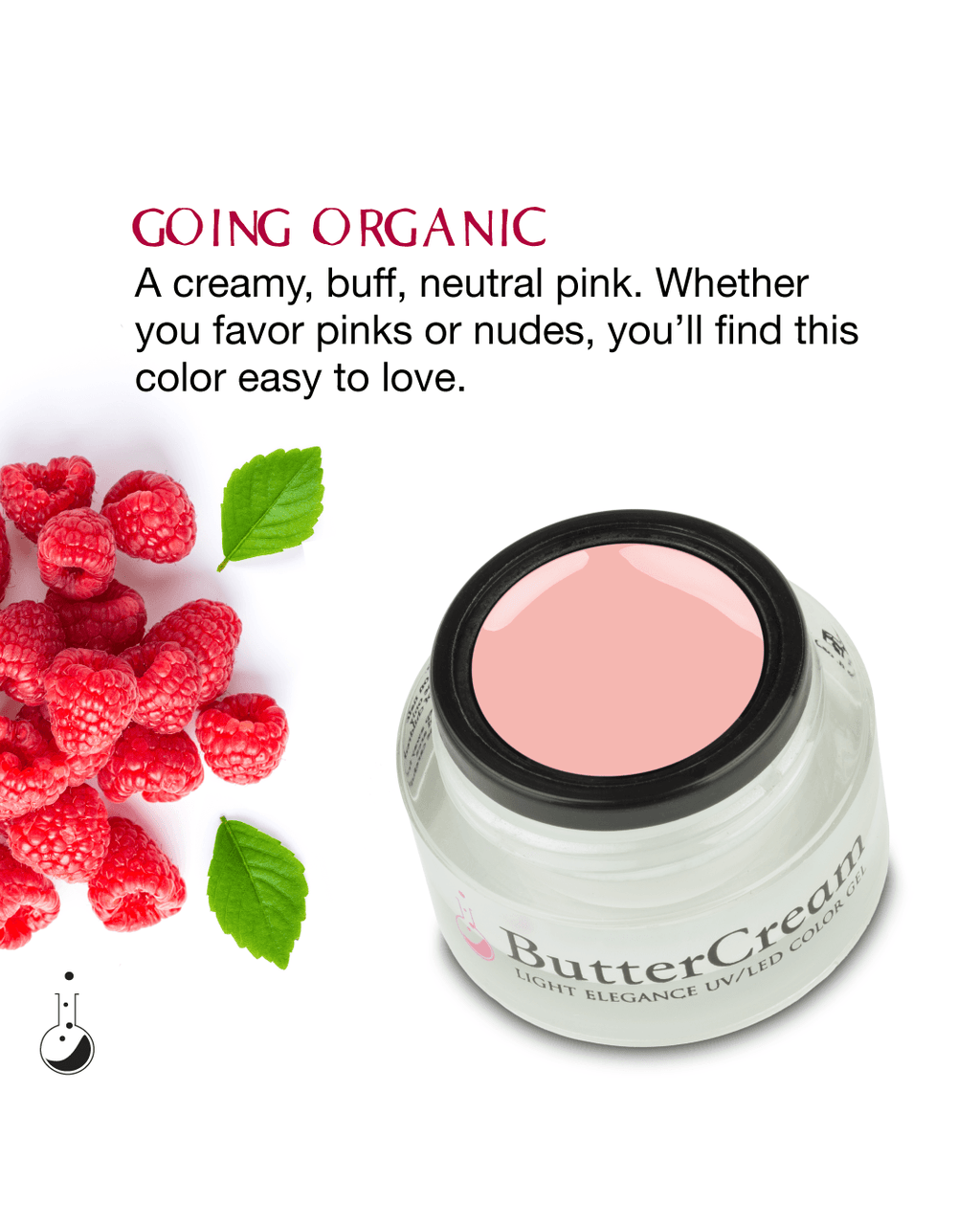Light Elegance Buttercream - Farmer's Market Collection