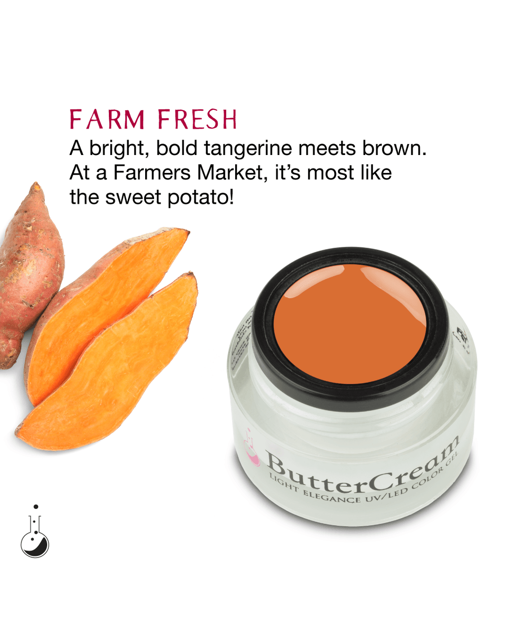 Light Elegance Buttercream - Farmer's Market Collection