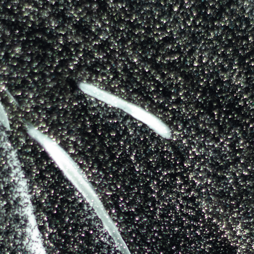 Light Elegance Glitter Gel - Tall, Dark, and Handsome