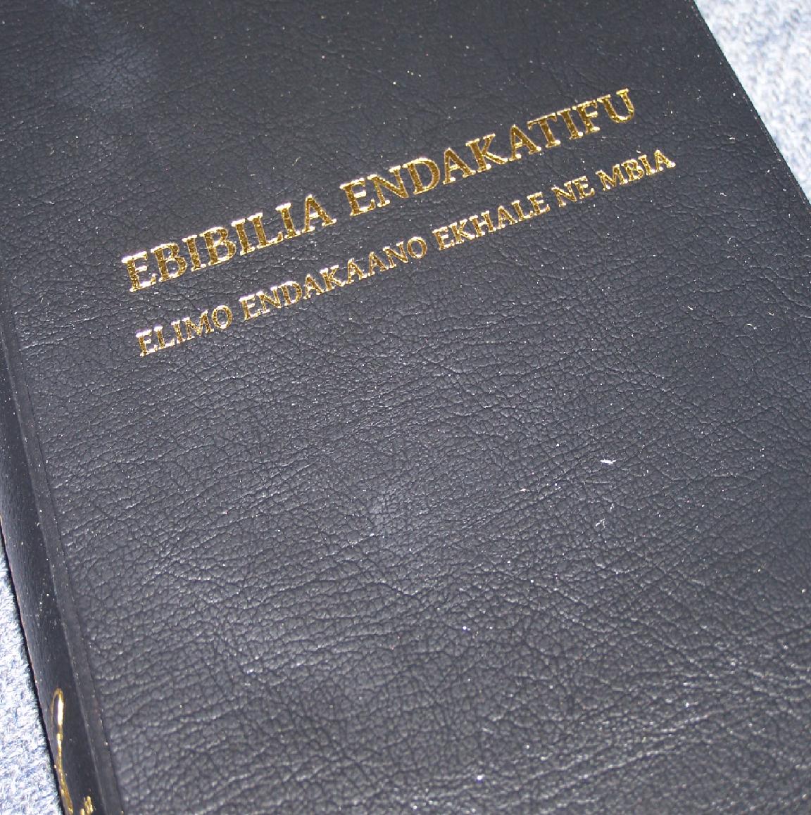 EBIBILIA ENDAKATIFU Bukusu Bible