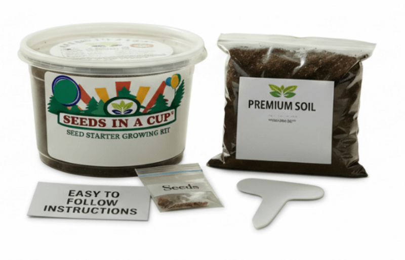 Pecan Tree Grow Kit