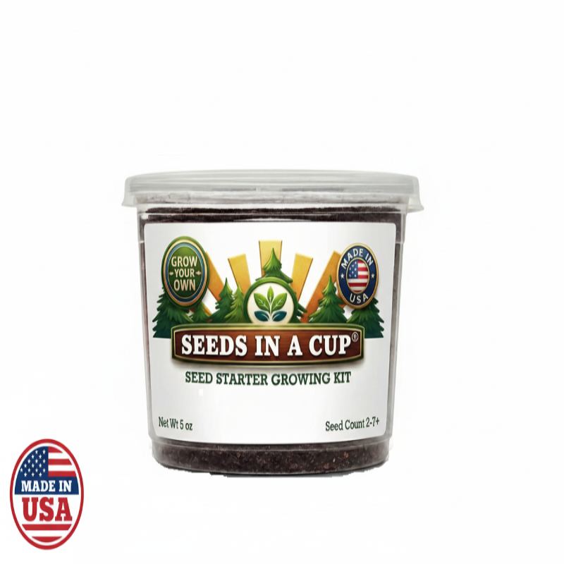 Pear Tree Grow Kit with Non-GMO Seeds & Planter
