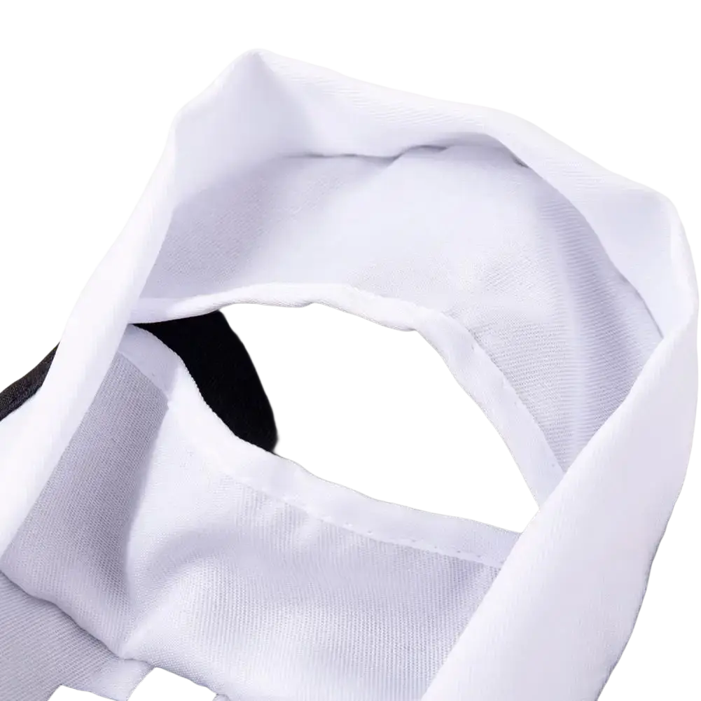 Nun Costume for Pets and Medium Dogs
