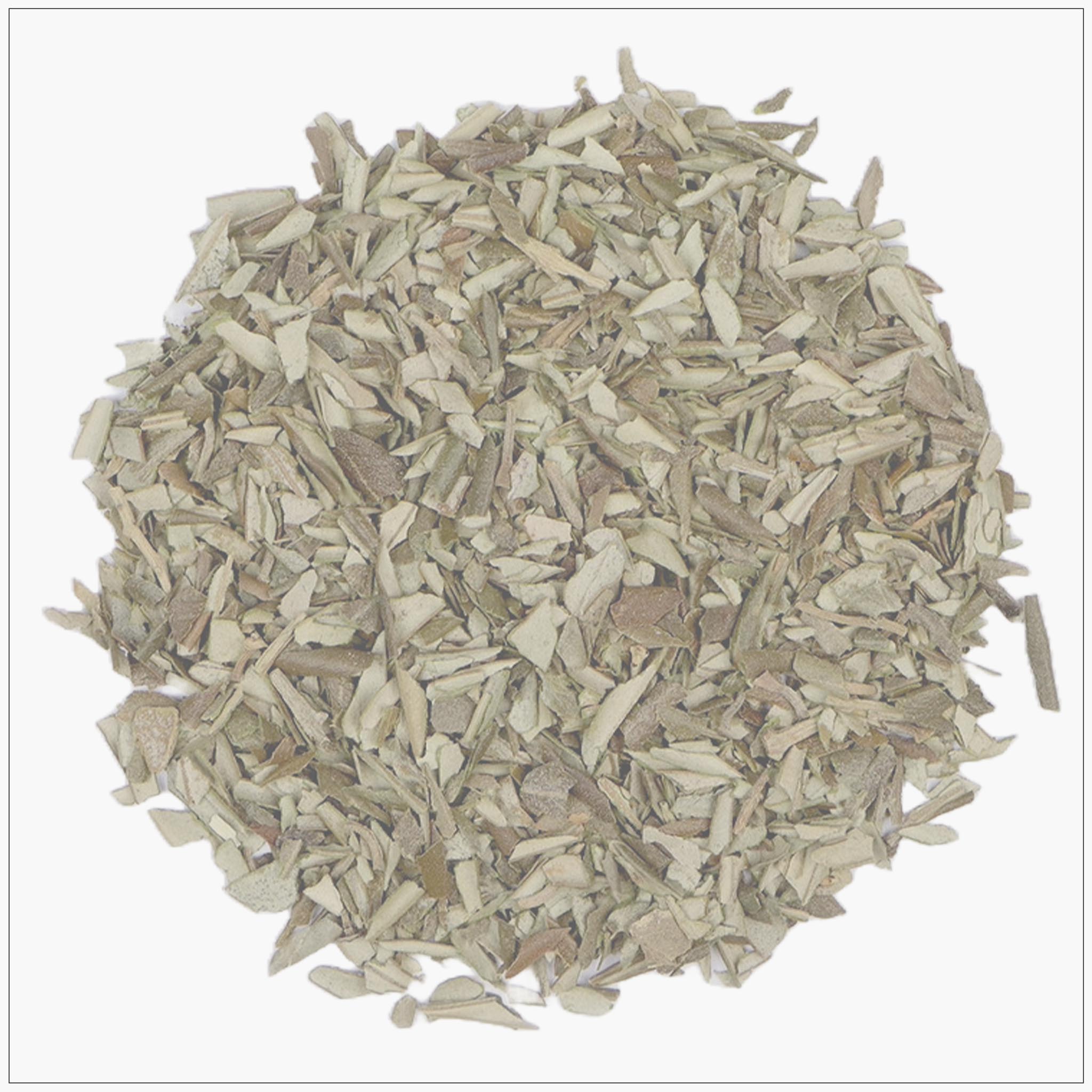 Olive Leaf