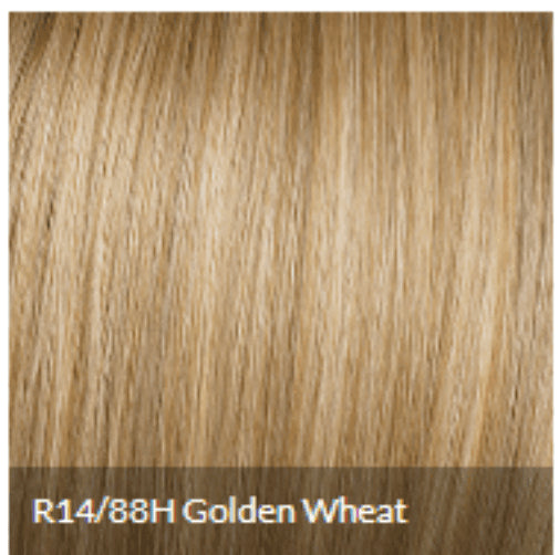 CLIP-IN BANGS by Hairdo Color