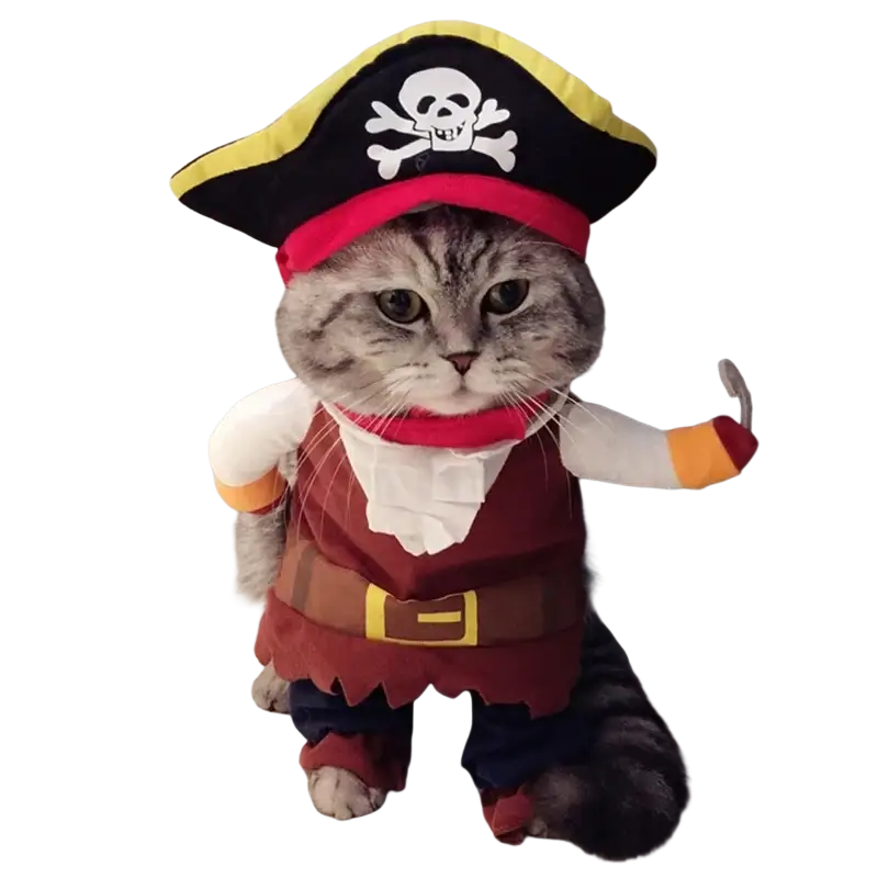 Pirate Dog Costume with Hat