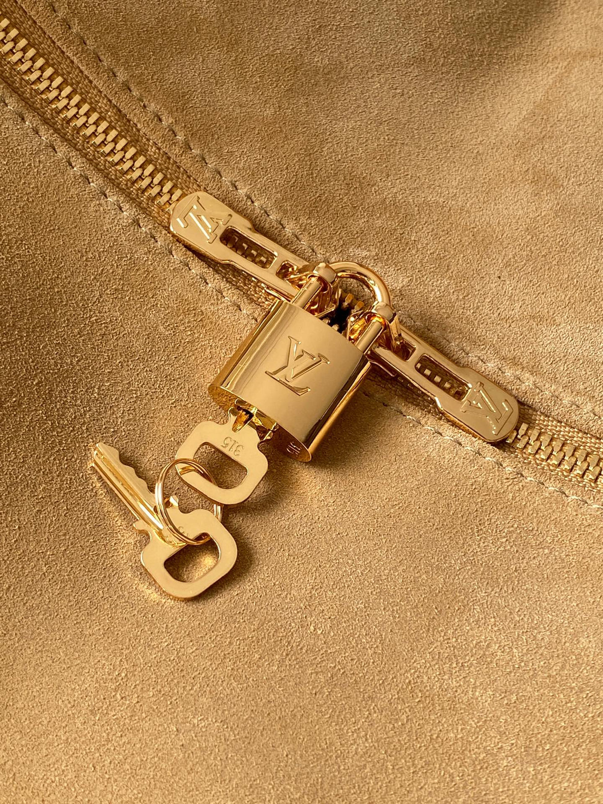 LV Travel Tote Bag