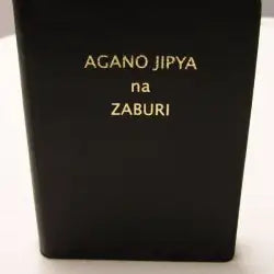 AGANO JIPYA na ZABURI : SWAHILI BIBLE (NEW TESTETAMENT) - World Safari Shops