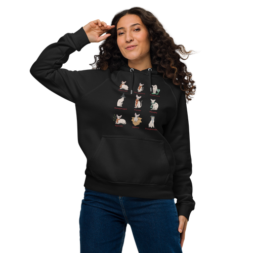 "HARRY POTTER SPHYNX" UNISEX ECO HOODIE